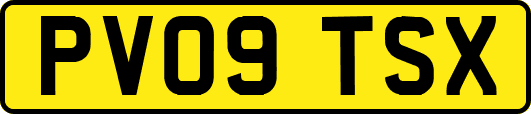 PV09TSX