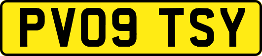 PV09TSY