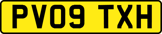 PV09TXH