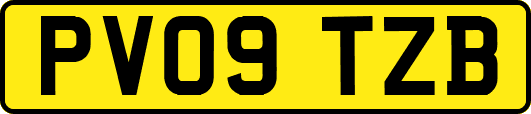 PV09TZB