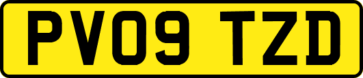 PV09TZD