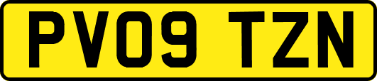 PV09TZN