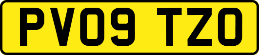 PV09TZO