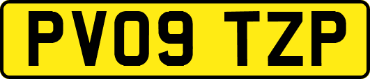 PV09TZP