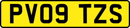 PV09TZS