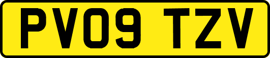 PV09TZV