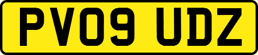 PV09UDZ
