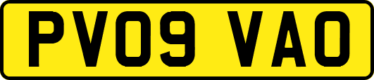PV09VAO