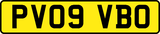 PV09VBO