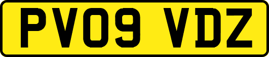 PV09VDZ