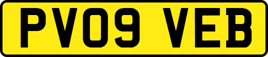 PV09VEB