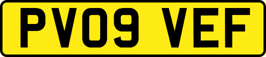 PV09VEF