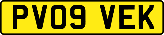 PV09VEK