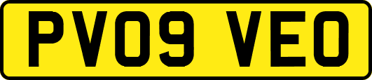 PV09VEO