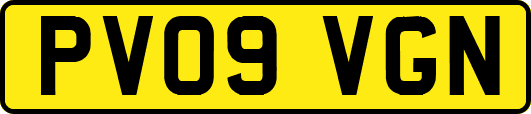 PV09VGN