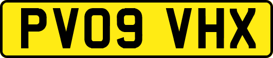 PV09VHX