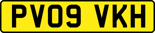 PV09VKH