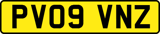 PV09VNZ