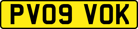 PV09VOK