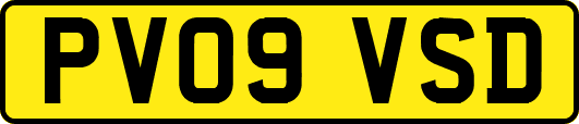 PV09VSD