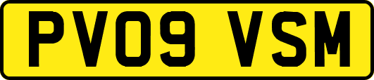 PV09VSM