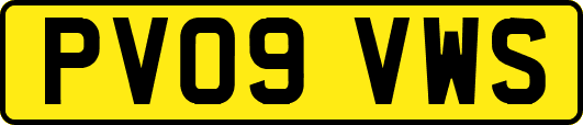 PV09VWS