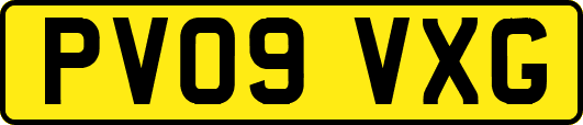 PV09VXG