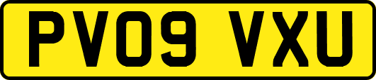 PV09VXU
