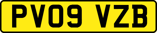 PV09VZB