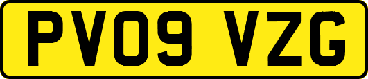 PV09VZG