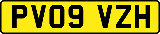 PV09VZH