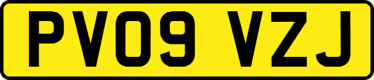 PV09VZJ
