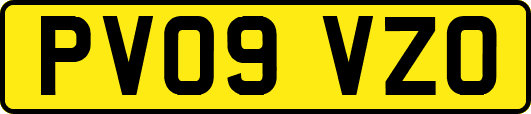 PV09VZO