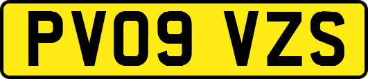 PV09VZS