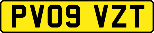 PV09VZT