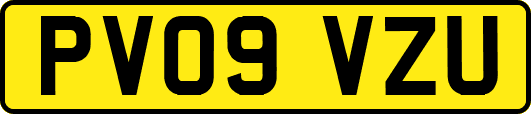 PV09VZU