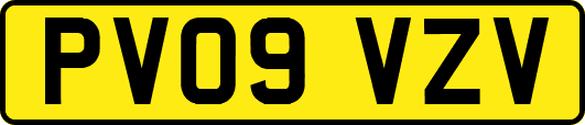 PV09VZV