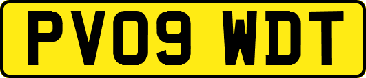 PV09WDT