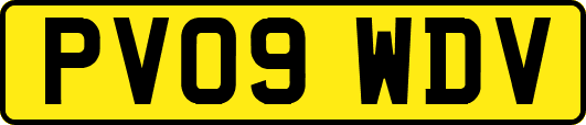 PV09WDV