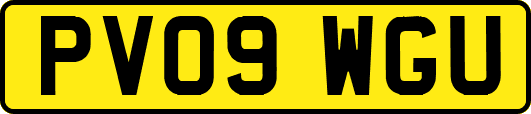 PV09WGU