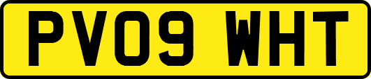 PV09WHT