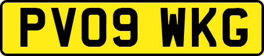 PV09WKG
