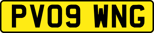 PV09WNG