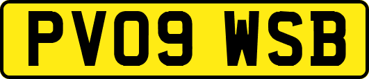 PV09WSB