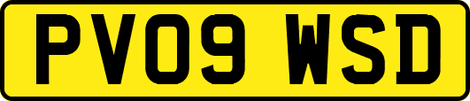 PV09WSD