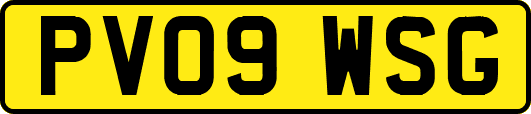 PV09WSG