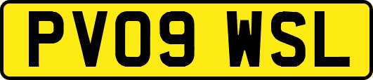 PV09WSL