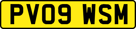 PV09WSM