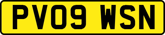PV09WSN