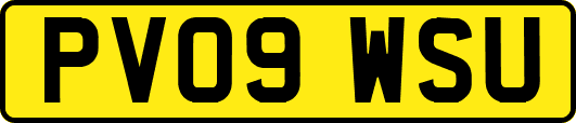 PV09WSU